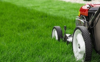 Lawn Maintenance/Mowing