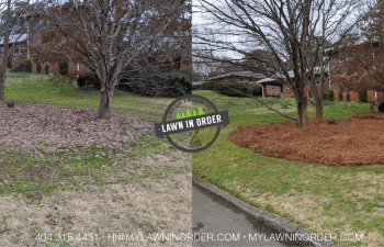 front yard maintenance before and after