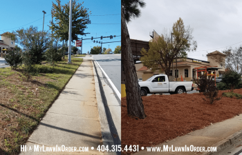 pine straw replace before and after
