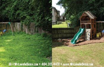 back yard maintenance before and after